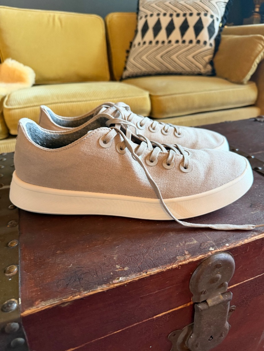 Allbirds Canvas Cruiser, Mens' Size 12, Color: Mushroom